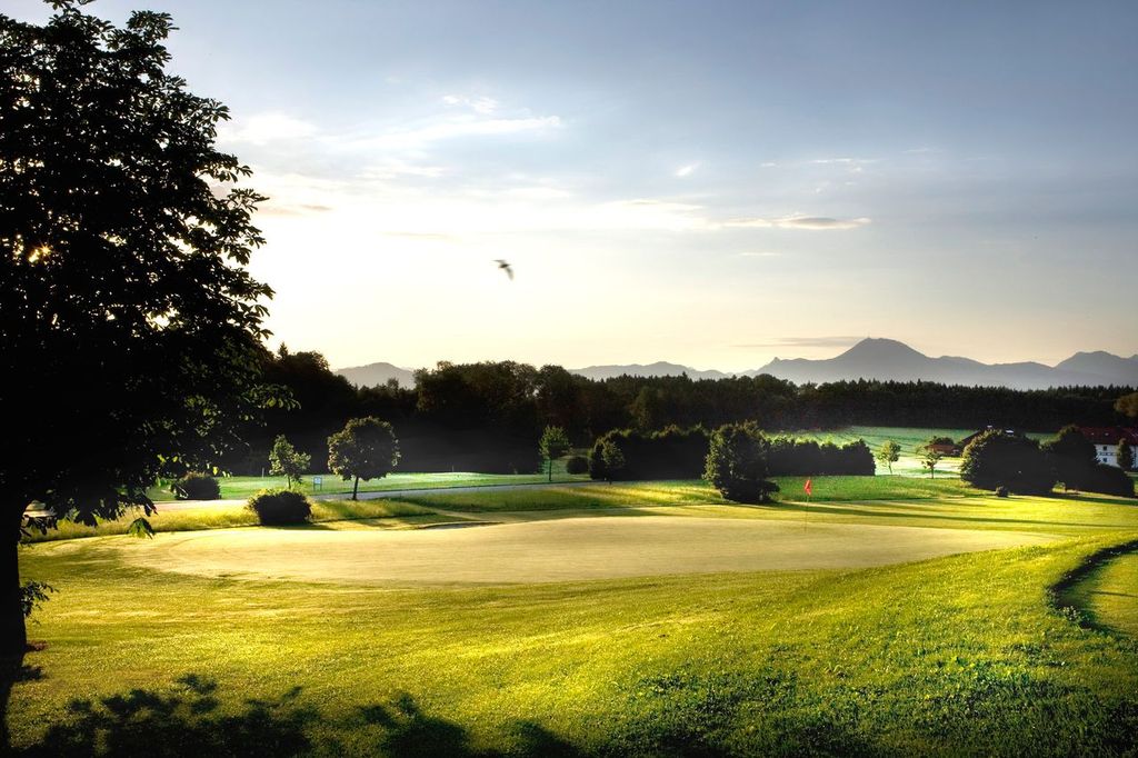 Bild einer Golfanlage mit sanften Hügeln und hellem Gras.