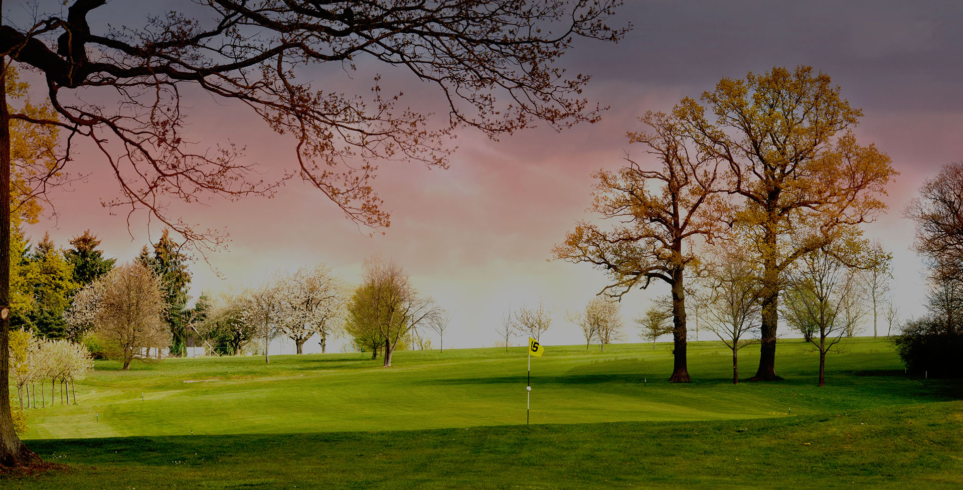 Golfplatz mit Fahne auf dem Grün, umgeben von Bäumen im Abendlicht.
