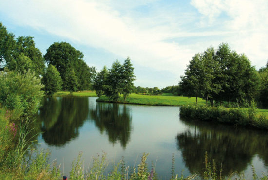 Ruhiger Teich umgeben von Bäumen und Wiese, mit spiegelndem Wasser und blauem Himmel.