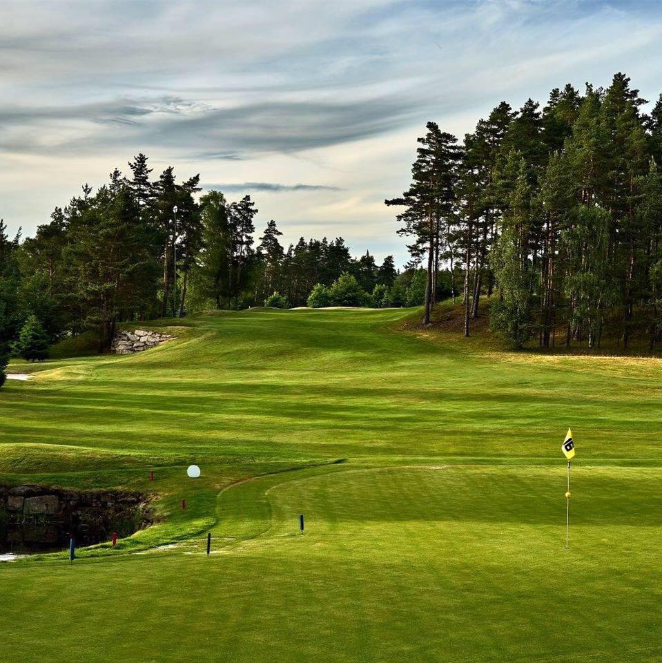 Golfplatz mit grünem Rasen, Bäumen im Hintergrund und Fahne am Loch.